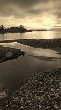 Sepia