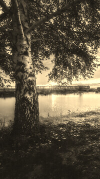 Sepia