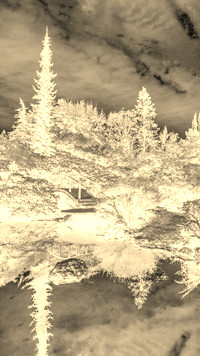 Sepia + Negatyw