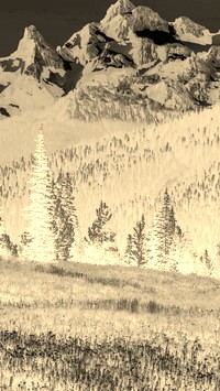 Sepia + Negatyw