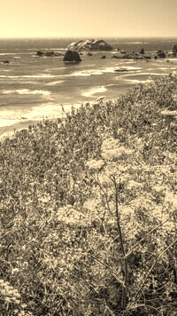 Szary + Sepia