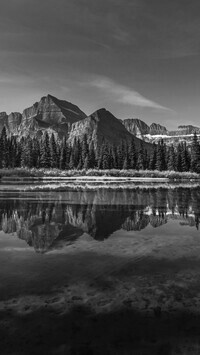 Szary
