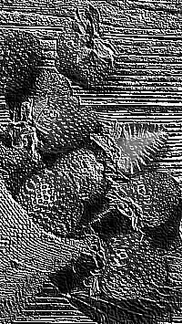 Skamielina
