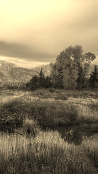 Szary + Sepia