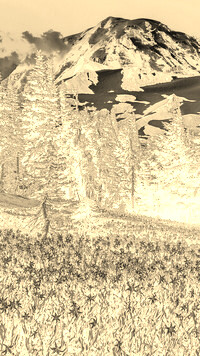Sepia + Negatyw