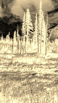 Sepia + Negatyw
