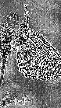 Skamielina
