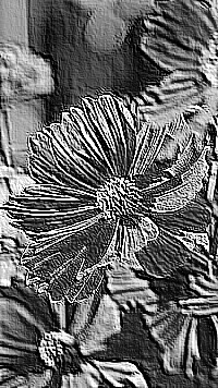 Skamielina