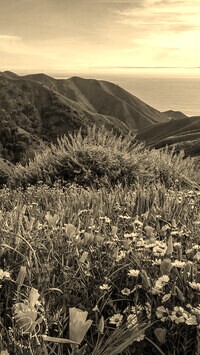 Sepia