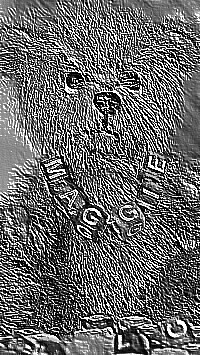 Skamielina