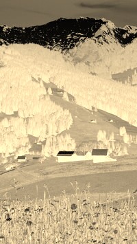 Sepia + Negatyw
