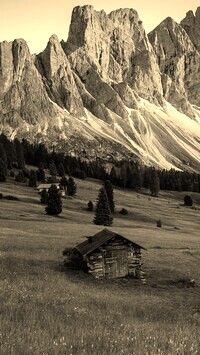 Szary + Sepia