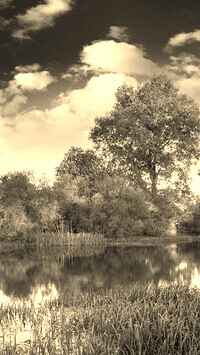 Szary + Sepia