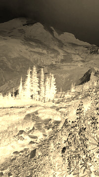 Sepia + Negatyw