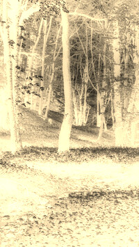 Sepia + Negatyw