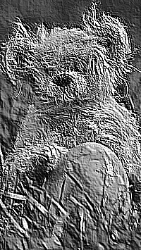 Skamielina