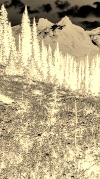 Sepia + Negatyw