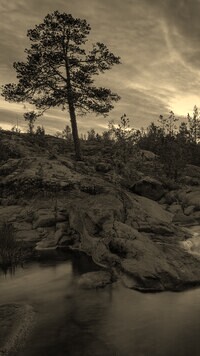 Szary + Sepia