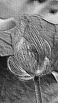 Skamielina