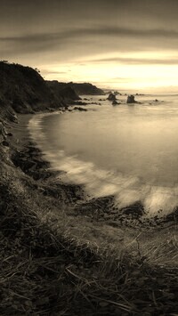 Sepia