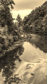 Sepia