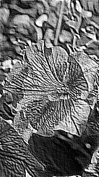 Skamielina