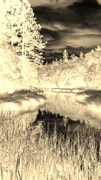 Sepia + Negatyw