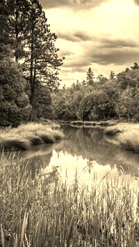 Szary + Sepia