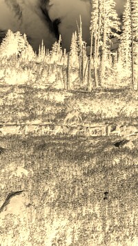 Sepia + Negatyw