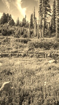 Szary + Sepia
