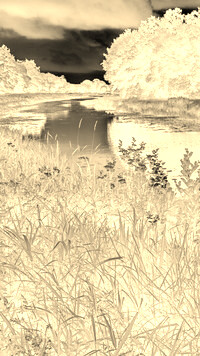 Sepia + Negatyw