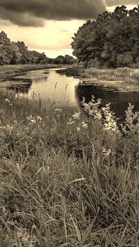 Sepia