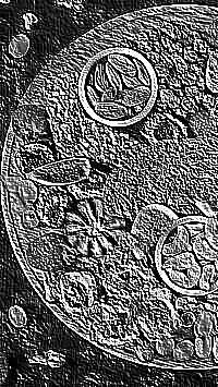 Skamielina