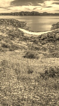 Szary + Sepia