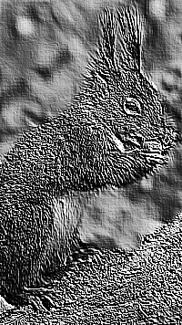Skamielina