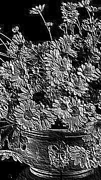 Skamielina