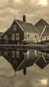 Szary + Sepia