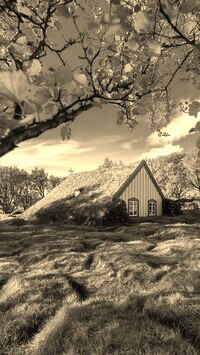 Szary + Sepia