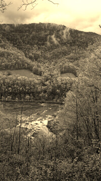 Sepia
