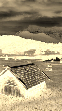 Sepia + Negatyw