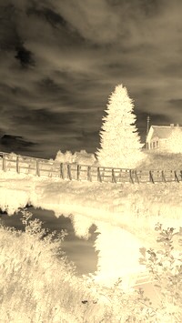Sepia + Negatyw