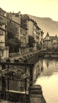 Szary + Sepia