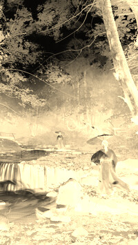 Sepia + Negatyw