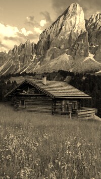 Szary + Sepia