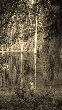 Szary + Sepia