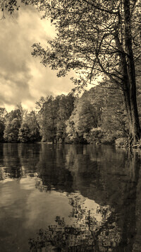 Sepia