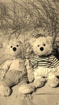 Szary + Sepia