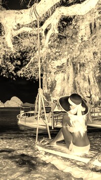Sepia + Negatyw