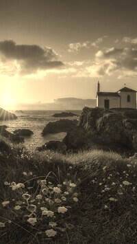 Szary + Sepia