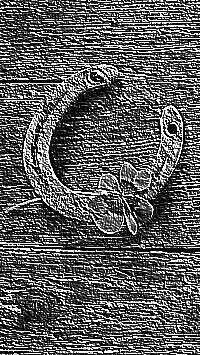 Skamielina